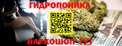 прущие грибы Малгобек