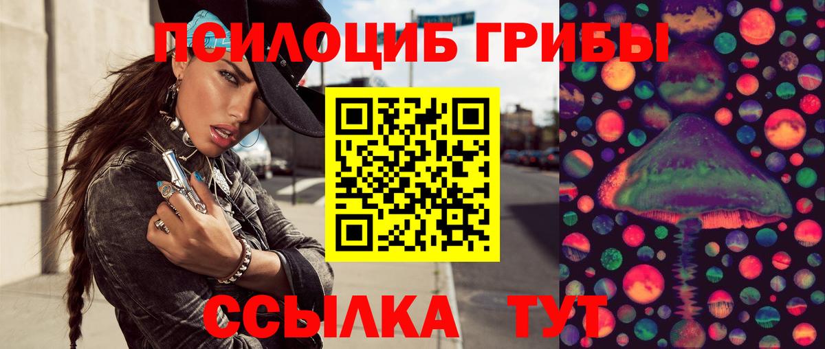 Псилоцибиновые грибы Cubensis Сызрань